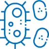 Bacteria